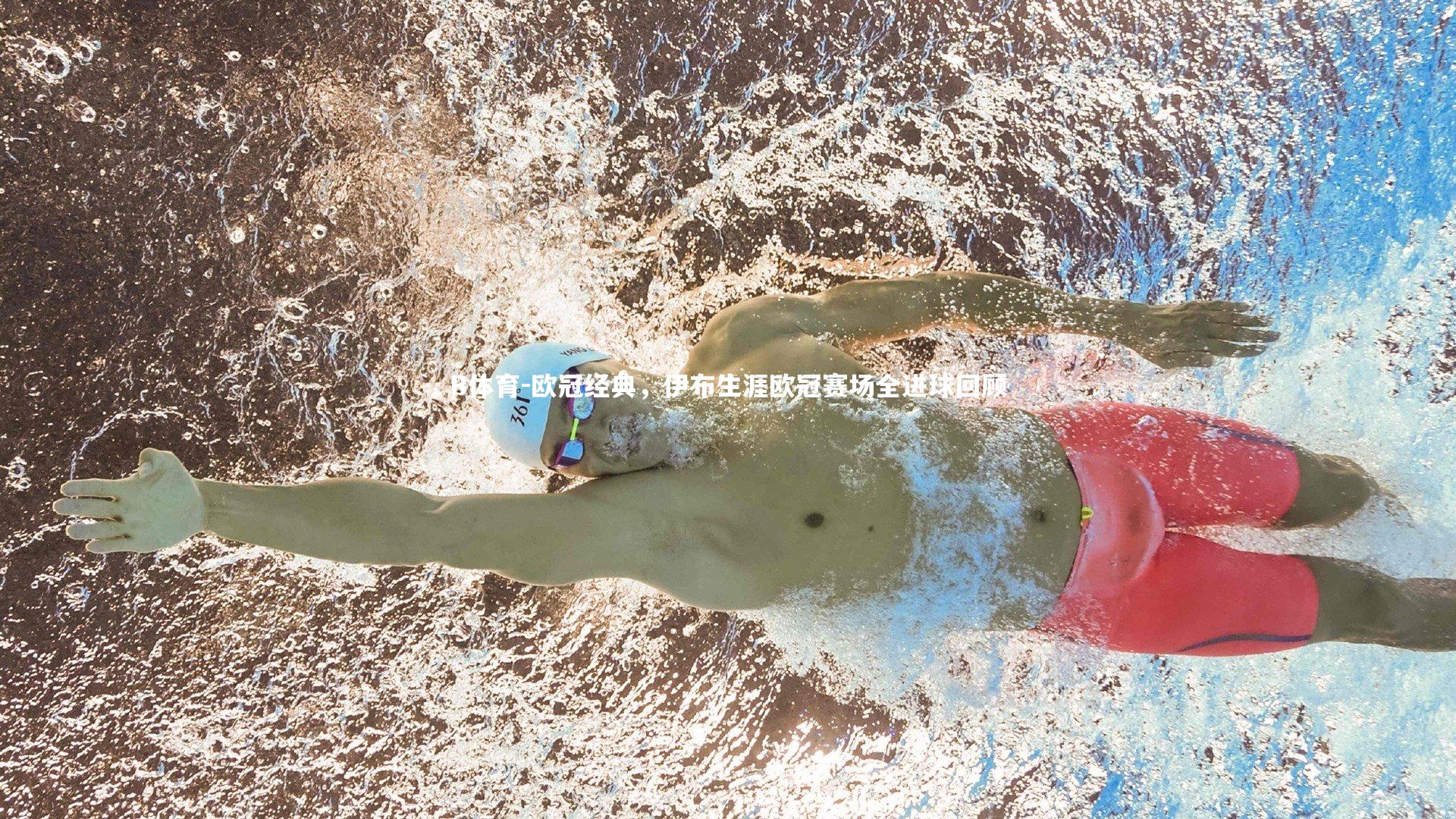 欧冠经典,伊布生涯欧冠赛场全进球回顾